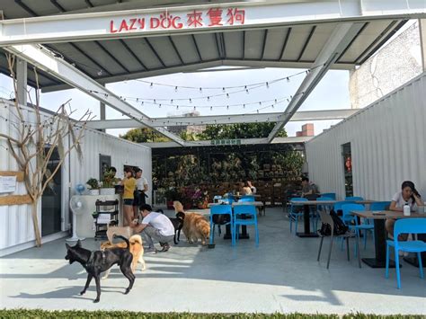 來隻狗|LazyDog 來隻狗寵物樂園餐廳 推薦餐點、網友評價｜台中市潭子 